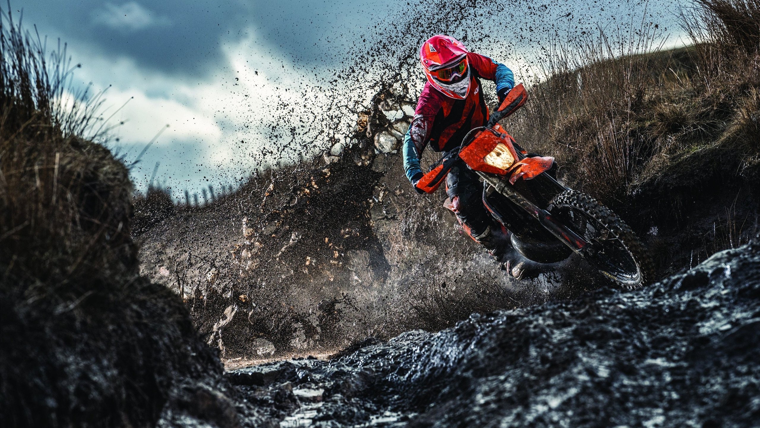 _街头篮球赛：青年文化与体育融合新风尚_，街头篮球属于街头文化吗