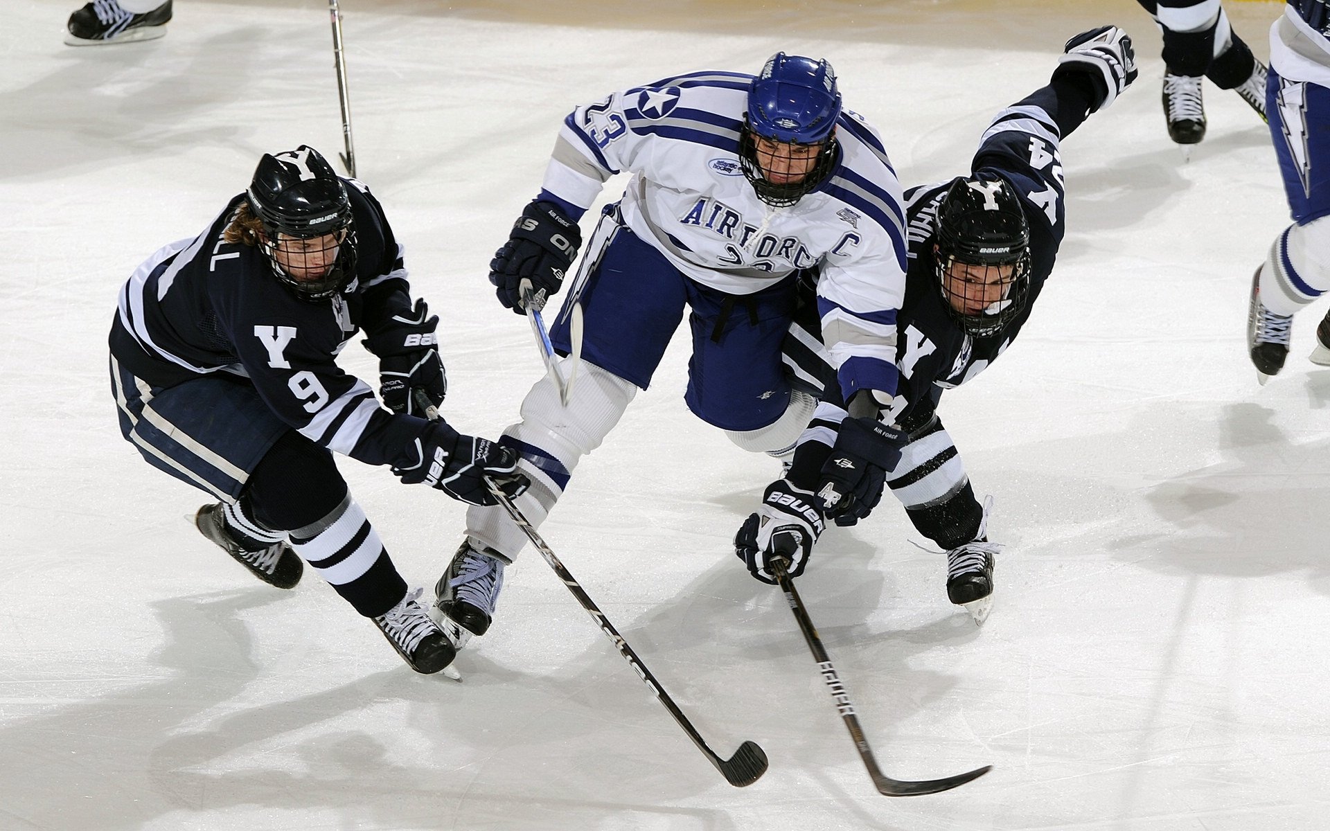 “球员的趣味爱好：场外明星的精彩故事”，球迷明星